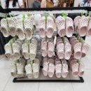 크레파스패밀리 | 고양 스타필드 크록스 9900원 4일간의 패밀리 세일 어린이 체험존 내돈내산 크록스 키즈 크록스 할인율...