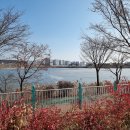 서호잔디광장 이미지