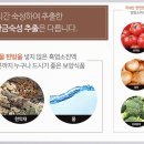 고산흑염소 이미지