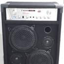 행사용 usb 이벤트 (섹소폰)앰프 100w.200w 이미지