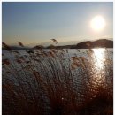 2017년정월 대보름날 일출 삼척 고포 갈매기 바위~해넘이 경포호수 (일몰) 이미지