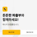 안심직업소개소 이미지