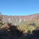 제71차 정기산행 4월11일(토)비슬산--100대명산-- 이미지