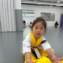 명지 키즈 태권도 이미지