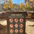 지에스(GS)25 항동수목원점 | 인천 가볼만한곳 인천수목원 후기, 가을 단풍 산책코스