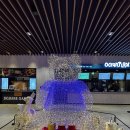 갤러리 당구장 | 소노벨 델피노 리조트 후기｜스위트 스탠다드 WEST 객실(취사 가능)