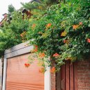 희망대공원 이미지