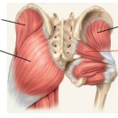 애슬레틱 서래 이미지