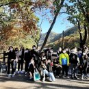 연천초등학교 이미지