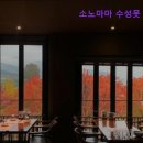 소노마마 | {대구, 술집, 존맛, 핫플, 데이트, 추천!} 소노마마 수성못 본점 대구 수성못 이자카야