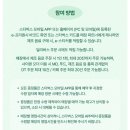 썸머(summer) | 스타벅스 / 팁 ! SUMMER 2025 썸머 프리퀀시 와이드 폴딩 체어 (그린) 캠핑의자 후기