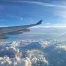 심리통계 이미지