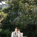 미클레어 이미지