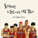 샵(#)돼일리
