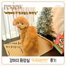 토리네간식주방 | 강아지화장실 독톡배변판을 선택한 이유와 강아지배변판적응훈련 팁