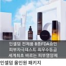 비젼인셀덤