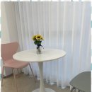 강아지미용실_편안 이미지