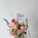 동탄바라기한약국 | 일상 모음 zip (첫인사를 곁들인..)