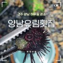 유림횟집 - 강서구 신포길 13-2 | 유림횟집