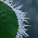 아산온천관광지 | 아산 시티투어버스 온천 여행 후기｜편하게 즐기는 힐링 하루 코스