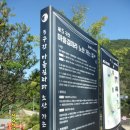 효석문학100리길 제4구간 이미지