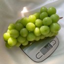 보라농장2 이미지