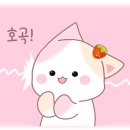 샤브나인 이미지