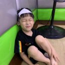 호연태권도 이미지