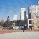 서울계남초등학교 이미지