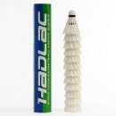 배드민턴 이미지