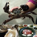 맛길따라 이미지