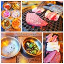 대동식당정육 이미지