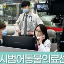 링크동물의료센터 이미지