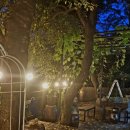 언덕위에오리집 이미지