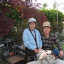 수만농장 이미지