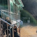 해진농장(2) 네이버블로그
