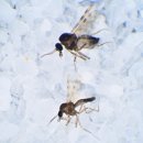 부강공인중개사사무소 이미지