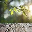 클라리넷 집중레슨 이미지