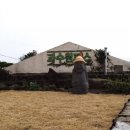 과수원 피스 이미지