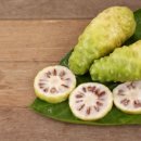 노니 필라테스 이미지