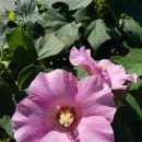 색달동-8 이미지