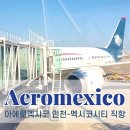 (주)논스톱투어 | 아에로멕시코 인천-멕시코시티 비행 후기 경유방법