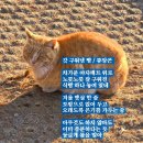 갓구워낸빵 티스토리