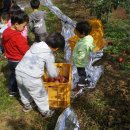 신남어린이집 이미지