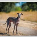 주상농장 이미지