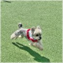 에이앤디 (A.N.D) 이미지