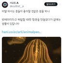 bl 파는 사람한테 인외캐릭터 추천해주는 머글 트위터리안 이미지