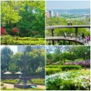 연무체육공원 다목적경기장 | 용왕산 스카이워크 &amp; 파리공원 이어걷기