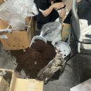 컴포즈동아대병원점 | 아9월이너무나기대돼