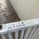 아름다운호야네 이미지
